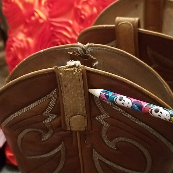 DAN POST PYTHON - Picture 3 of 8